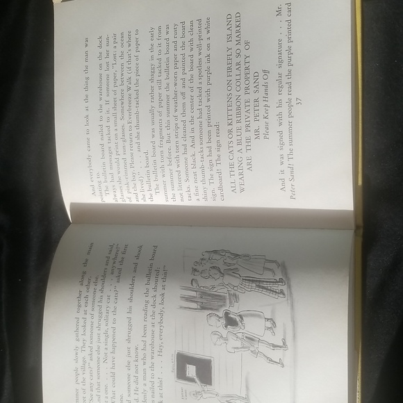 Mr. Petersand's Cats- book by Louis Slobodkin - Picture 10 of 16